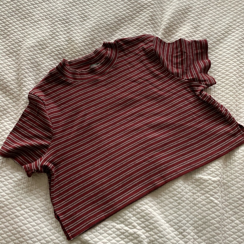 Wild Fable Crop Top